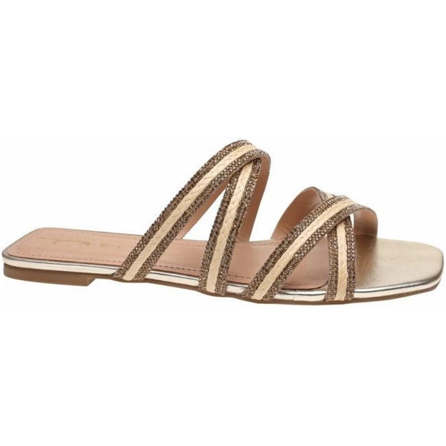 Chinelo Tabita 9543862 Dourado