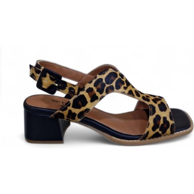 Sandália Feminina Dinapoli em Couro 916-05 Animal Print