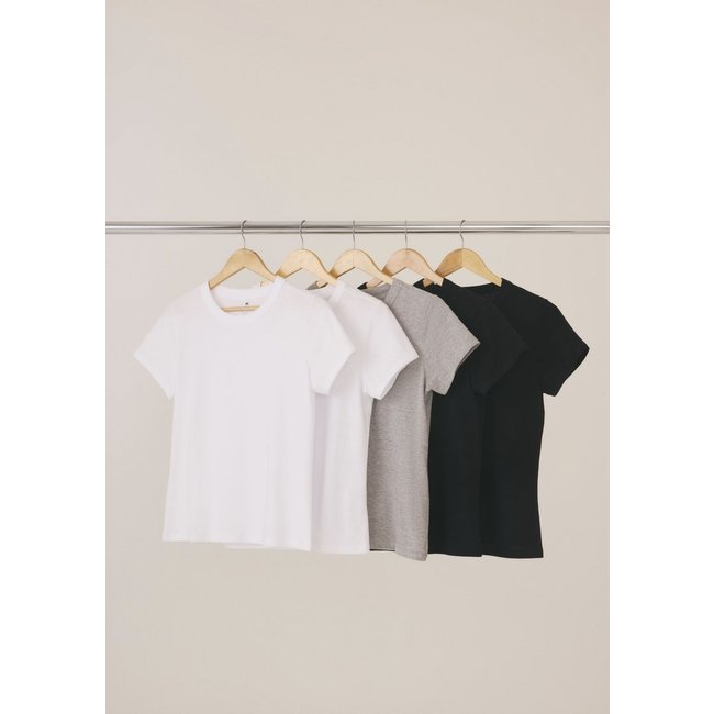Kit Com 5 Camisetas Femininas Básicas Hering