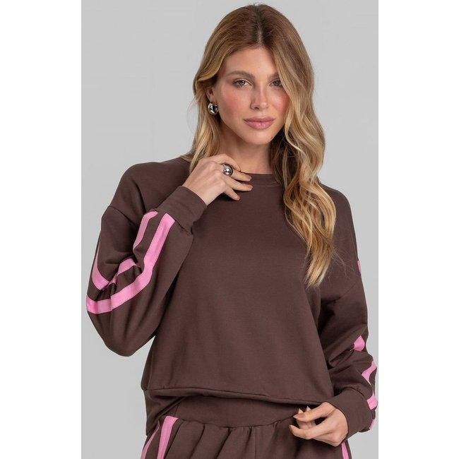 Moletom Feminino Em Molecotton Peluciado Dianna Marrom