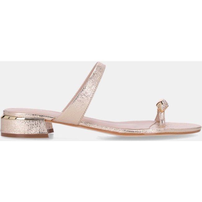Chinelo Couro Luz da Lua - 80910012 Luz Da Lua Dourado