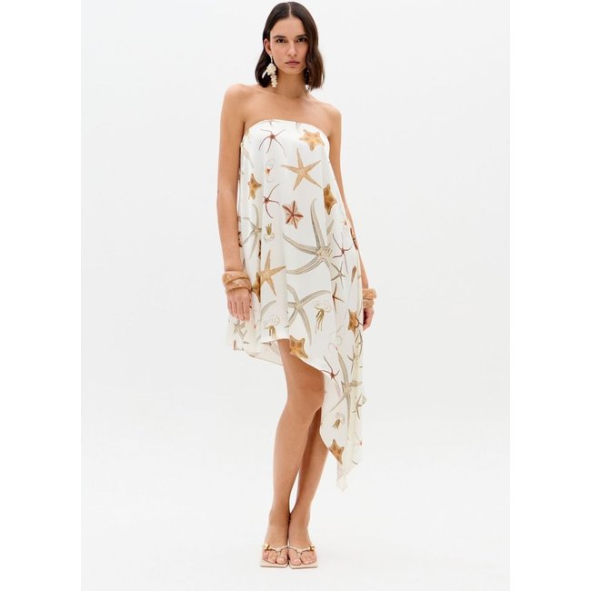 Vestido Sem Alças Assimétrico Lança Perfume