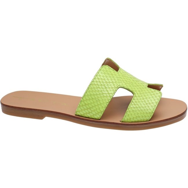 Chinelo Tabita 2989903 Verde