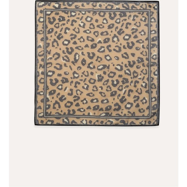 Lenço Feminino Grande Estampado Em Voil Hering