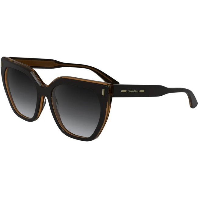 Óculos de Sol Calvin Klein 24535S 002 Preto Feminino