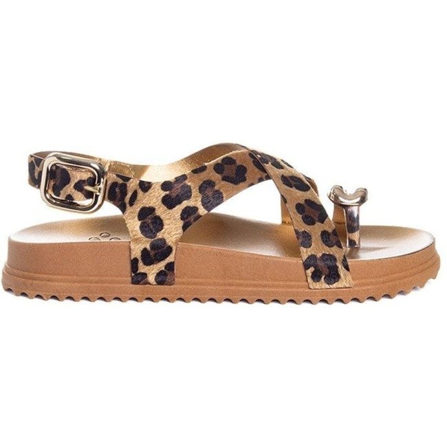 Sandália Flatform Pixolé Animal Print Onça Incolor