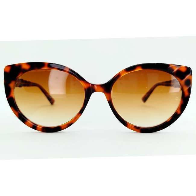Oculos Solar Ana Hickmann Nina 1 G21