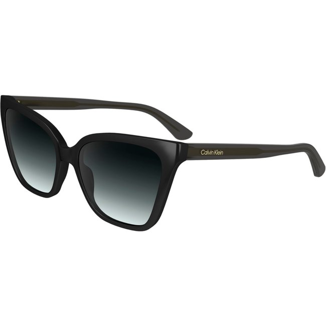 Óculos de Sol Calvin Klein 24507S 001 Preto Feminino