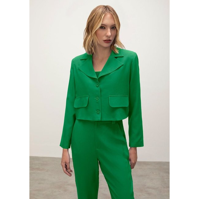 Blazer Iódice Com Lapela Com Botões Verde