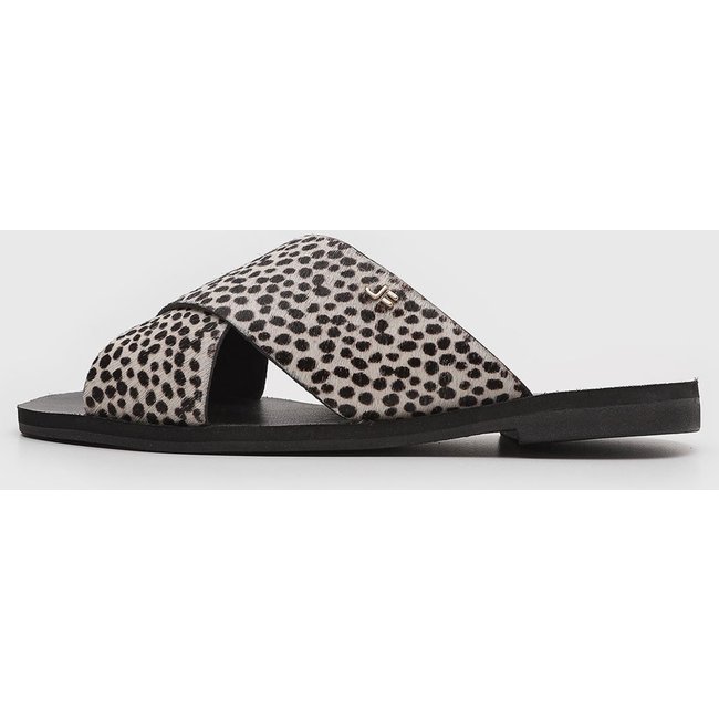 Slide Feminino Jorge Bischoff Animal Print Preta