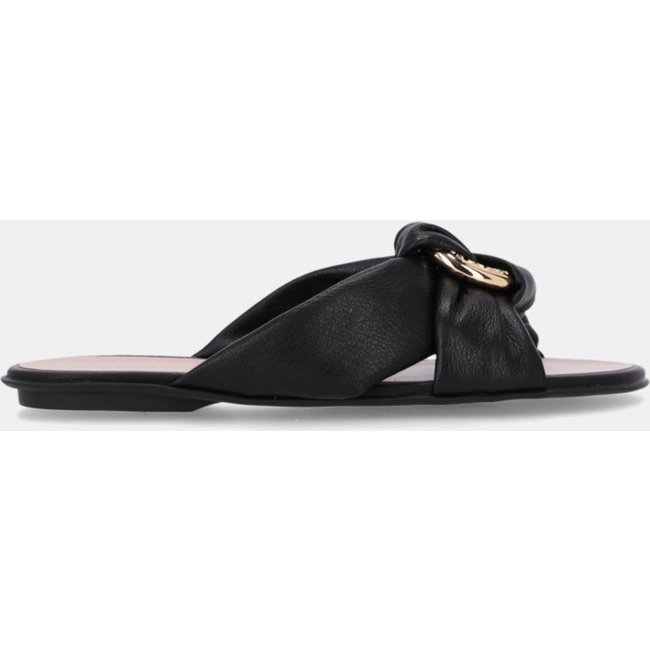 Chinelo Couro - 52210071 Luz Da Lua Preto