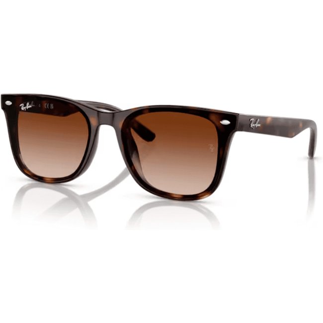 Oculos Solar Ray-Ban Rb4420 710/1365
