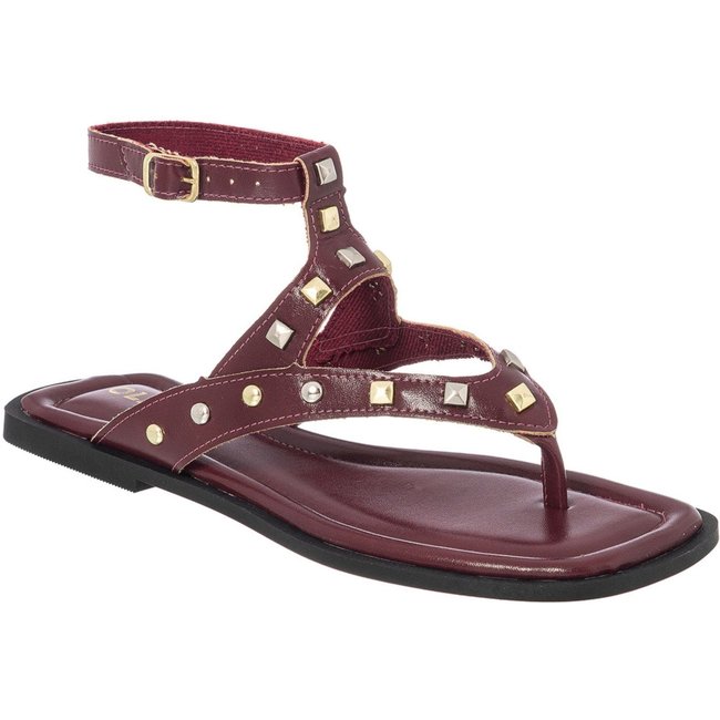 Sandália Rasteira Feminina com Tachas Dourada e Prata Fivela Ajustável Moderno Tendência Verão Olzzy Bordô
