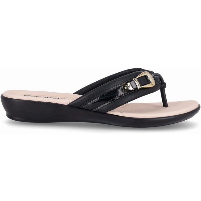 Chinelo Camila Anabela Baixo Preto