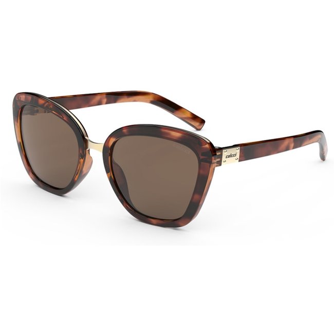 Óculos de Sol Colcci Feminino Ceu Marrom C0186F2102