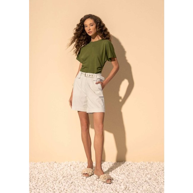 Shorts Listrado De Cintura Alta Com Bolso E Cinto Em Algodão