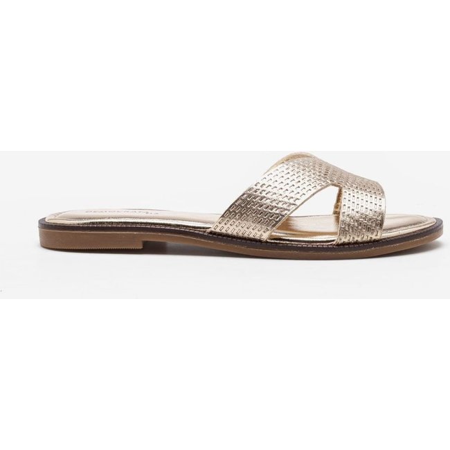 Rasteirinhas Democrata Casual Dourado