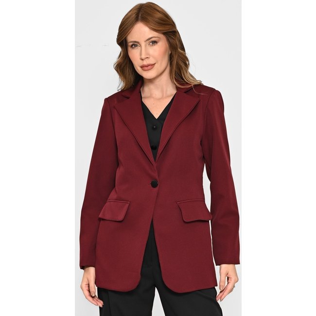 Blazer Bisô Recortes Alfaiataria Vinho - Vinho