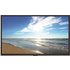 NEC MultiSync M321 Digital signage flat panel 81.3 cm (32") LCD 450 cd/m Full HD Black