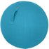 Leitz Ergo Cosy Active Sitting Ball
