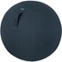 Leitz Ergo Cosy Active Sitting Ball