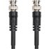 Roland RCC-100-SDI composite video cable 30 m BNC Black