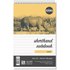 Rhino 200 x 127 Shorthand Notepad 300 Page Feint Ruled 8mm (Pack 5) - RHRN15-2