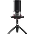 CHERRY UM 6.0 ADVANCED Black Silver Table microphone