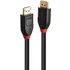 Lindy 10m Active DisplayPort 1.4 Cable