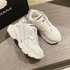 Casual Net Red Style Paris Summer New Thick Soled Mesh Breathable Leather Old Shoes Women Increase Height And Look Thin