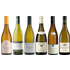White Burgundy Tasting Case - Wine review and price