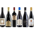 Amarone Premium Tasting Case - Wine review and price