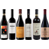 Hochwertiges Barolo Verkostung - Wine review and price