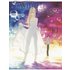 The Witch and the Beast 10 Kousuke Satake Author