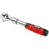 Clarke Pro Clarke PRO199 3/8" Drive Extendable Ratchet