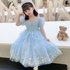 Girls Elsa Princess Dress 2024 Summer New Girls Dress Elsa Princess Mesh Children’s Day Performance Skirt Trendy