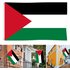SportLife Palestine Flag Bright Color Hanging Banner Durable Palestinian National Flag for Home Garden Decoration