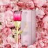 Beauty & Health Scarlet Lover Women’s Perfume Rose Valentine’s Day Gift Long Lasting Fresh