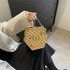Acrylic handbag for women’s new niche design chain single shoulder crossbody box fashionable portable dinner bag