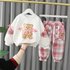 Baby Girl Spring And Autumn Hoodie Set Spring Baby Two-piece Set Early Spring Children’s Clothes Girl Spring Clothes