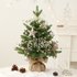 Christmas decorations PE+PVC rotating music box mini Christmas tree set desktop ornaments