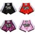MUAY THAI Muay Thai Pants, Sanda Martial Arts Combat Training Pants, MMA Combat Shorts, Men’s And Women’s Children’s Styles