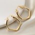 Earrings Simple Irregular Curve Ear Clip Light Luxury High End Ear Ring Polygon Earring Earrings