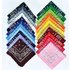 Polyester Paisley Cashew Flower Square Scarf Hip Hop Outdoor Cycling Bandana Headscarf