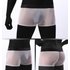 2025d Japanese And Korean GAY Men’s Underwear Transparent Thin Mesh Ultra Elastic Low Waist Wide Edge Boxer Briefs Plus Size