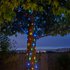 Solar Powered Multi-Coloured Firefly String Lights -100 LED