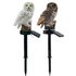 Solar Powered Realistic Owl Stake Garden Light - 2 Colours