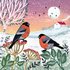 Amnesty International Christmas Cards - Bird Song - Pack of 10
