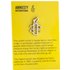 Amnesty Candle Pin Badge