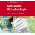 Bild-DVD, Molekulare Biotechnologie, Die Abbildungen des Buches - David Clark,Nanette Pazdernik